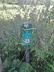 IMG_20210815_093639