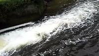 VID_20210811_113155