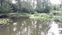 VID_20210811_113256