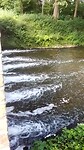 VID_20210811_125321