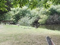 IMG_20220731_184112