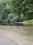 IMG_20220731_193030