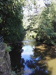IMG_20220802_111801