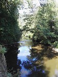IMG_20220802_111822