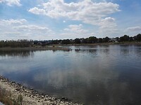 IMG_20220802_130712