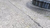 VID_20220806_120617