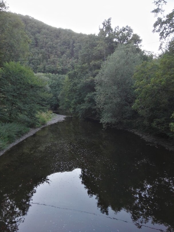 Bruggetje naar Neuwied (1)