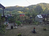 Camping Ponderosa Datzeroth (6)