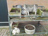 22-05-2023 Ruurlo Camping (11)