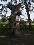 29-05-23 Eibergen fietstocht (3)
