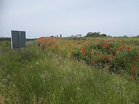 29-05-23 Eibergen fietstocht (7)