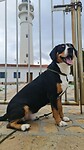 De vuurtorenwachter van Torrox Costa
