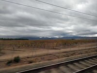 IMG_20221123_123004_01