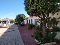 IMG_20221126_114305