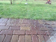 Hagel(slag)
