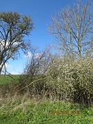 De lente is er echt!