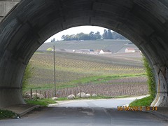 Een doorkijkje naar Hautvillers.