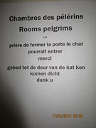 Wie durft nog Google translate te gebruiken?