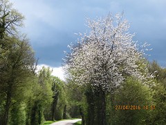 Gewoon mooi.