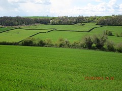 Het onbedorven landschap.