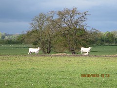 Voor een landschapsschilder.