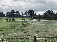 IMG_7179