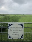 IMG_7451