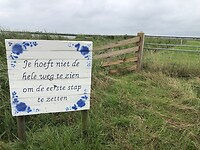 IMG_7453