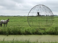 IMG_7450
