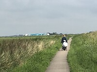IMG_7456