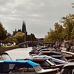 IMG_7504
