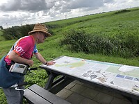 IMG_7524
