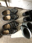 IMG_7535