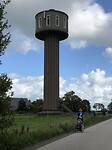 IMG_7558