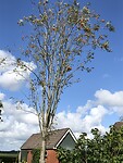 IMG_7573