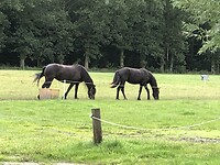 IMG_7627