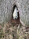 IMG_7634