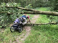 IMG_7637