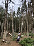 IMG_7644
