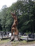 IMG_7646