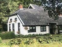 IMG_7703