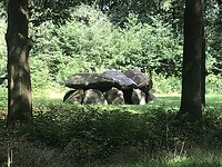 IMG_7709