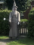 IMG_7718