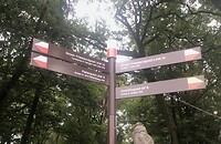 IMG_7724