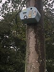 IMG_7747