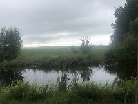 IMG_7750