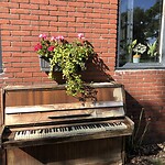 IMG_7765