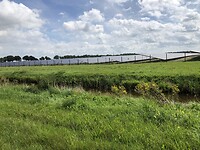 IMG_7783