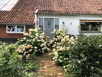 IMG_7794