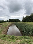 IMG_7793